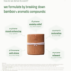 | bamboo | @Bamboo Massage Candles