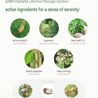 | bamboo | @Bamboo Massage Candles