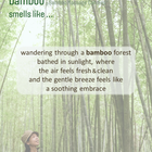 | bamboo | @Bamboo Massage Candles